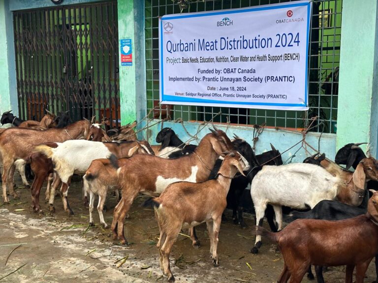 24 Cows & 30 Goats are Ready for Meat Distribution among 1800 Marginalized